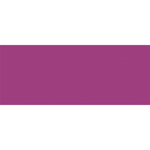 Neocolor II PURPLE VIOLET 100 Caran d'ache