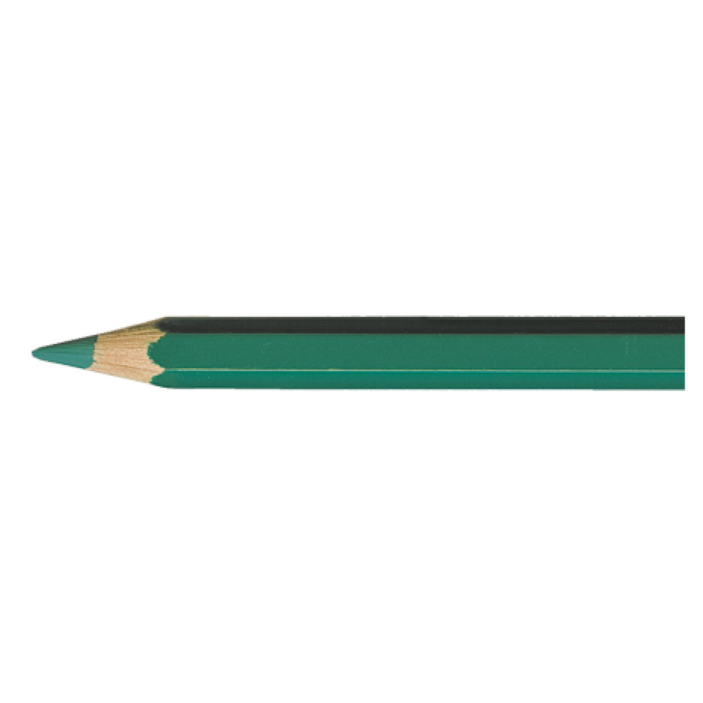 Pablo BLUISHGREEN 200 Kleurpotlood Caran d'Ache