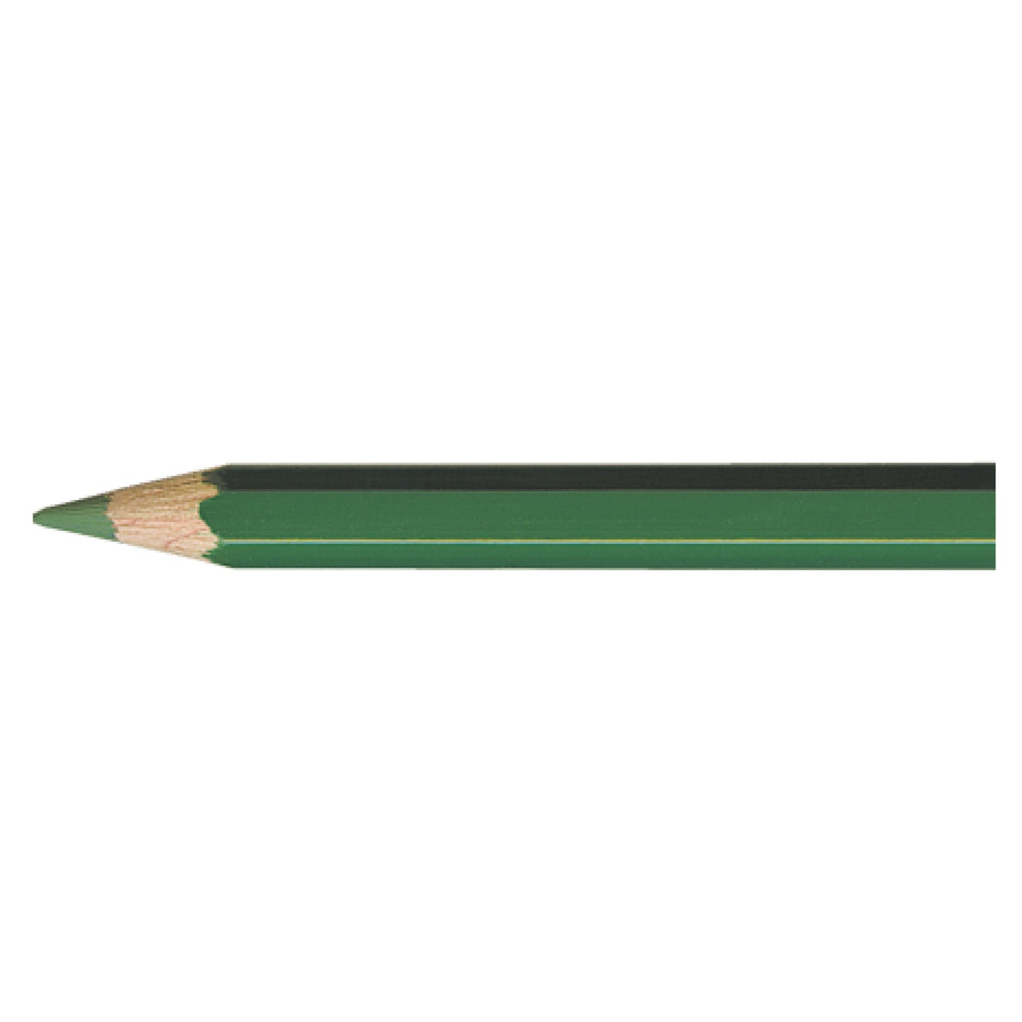 Pablo SPRUCE GREEN 239 Kleurpotlood Caran d'Ache