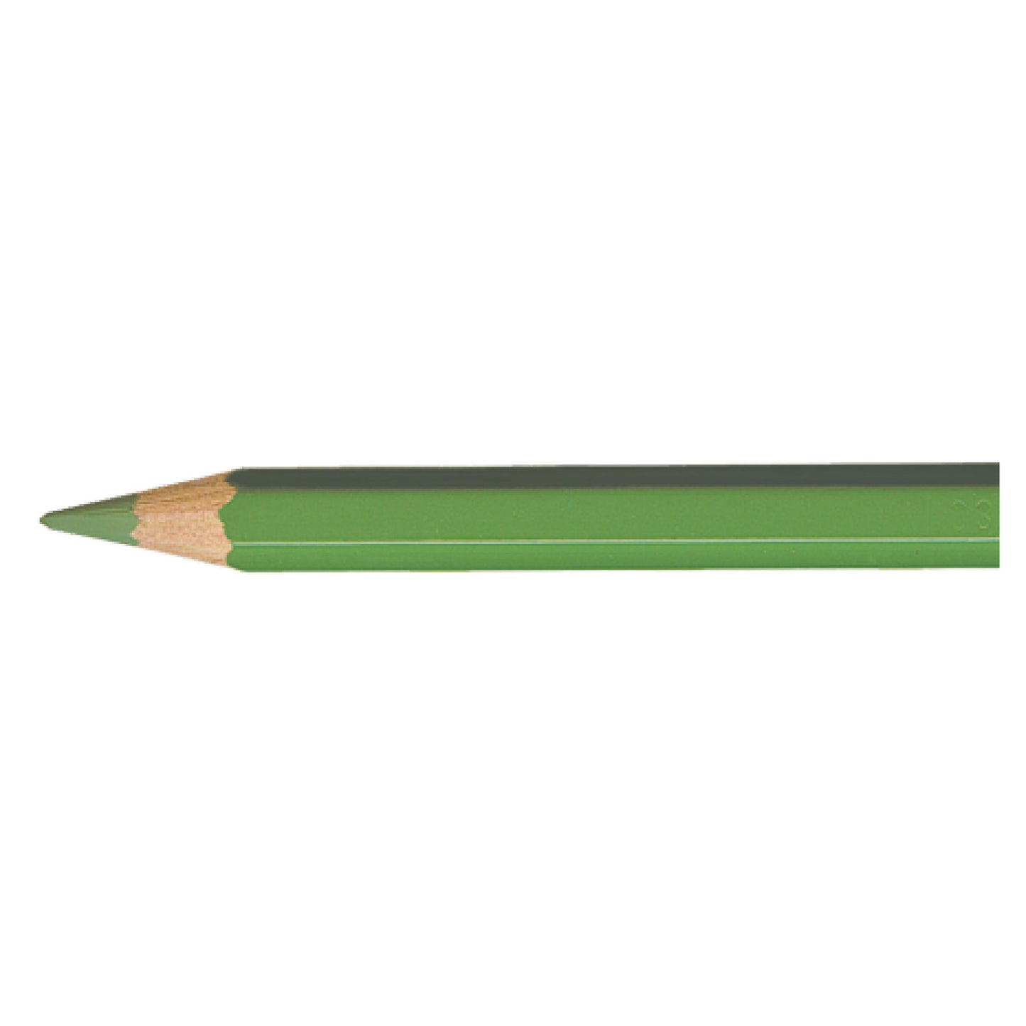 Pablo MOSS GREEN 225 Kleurpotlood Caran d'Ache