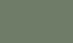 Luminance FRENCH GREY 808 Kleurpotlood Caran d'ache