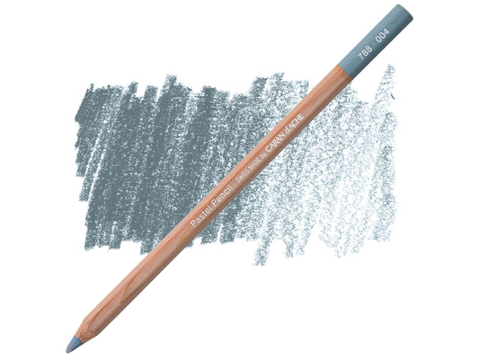 004 Steel Grey Pastel Potlood Caran D'Ache
