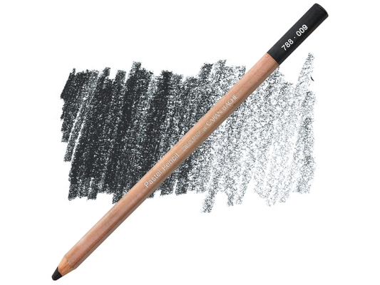 009 Black Pastel Potlood Caran D'Ache