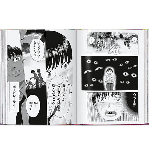 100 Manga Artists - boek