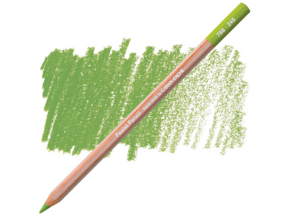 245 Light Olive 40% Pastel Potlood Caran D'Ache