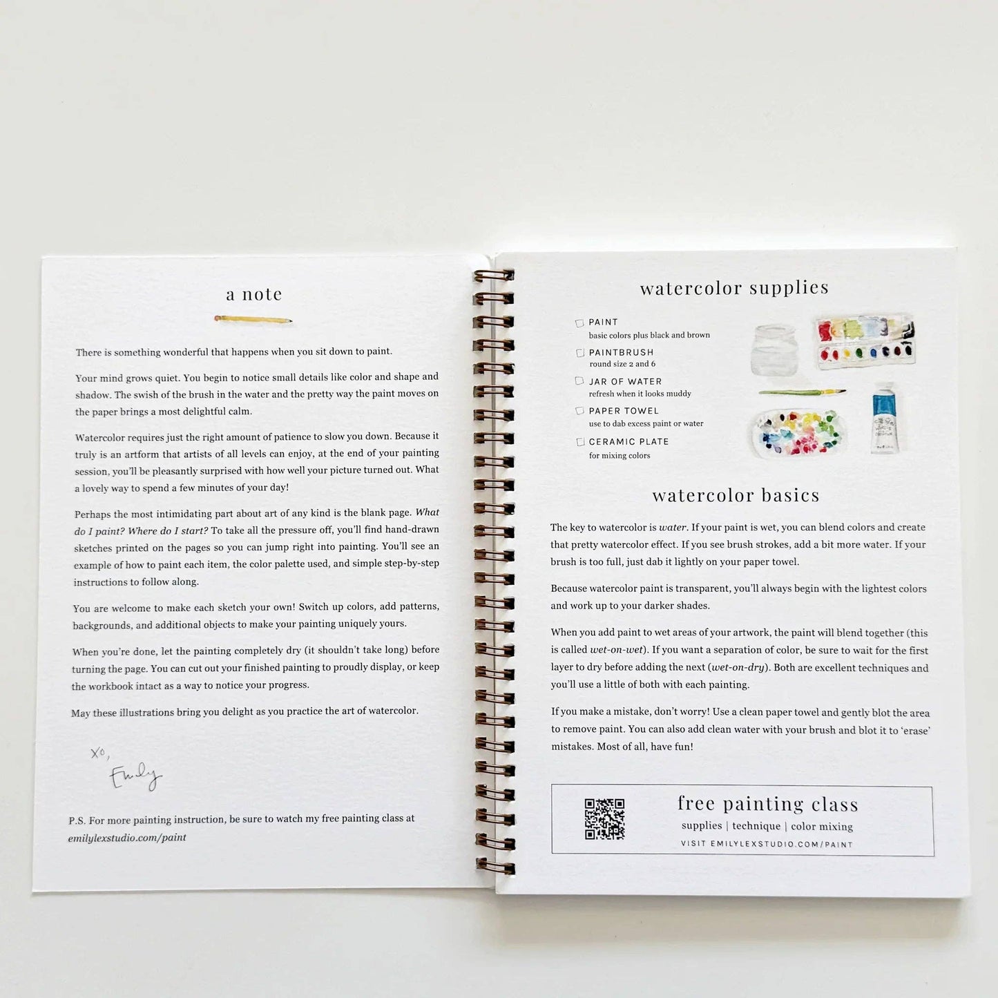 Aquarelverf werkboek - Fruit - emily lex studio watercolor workbook