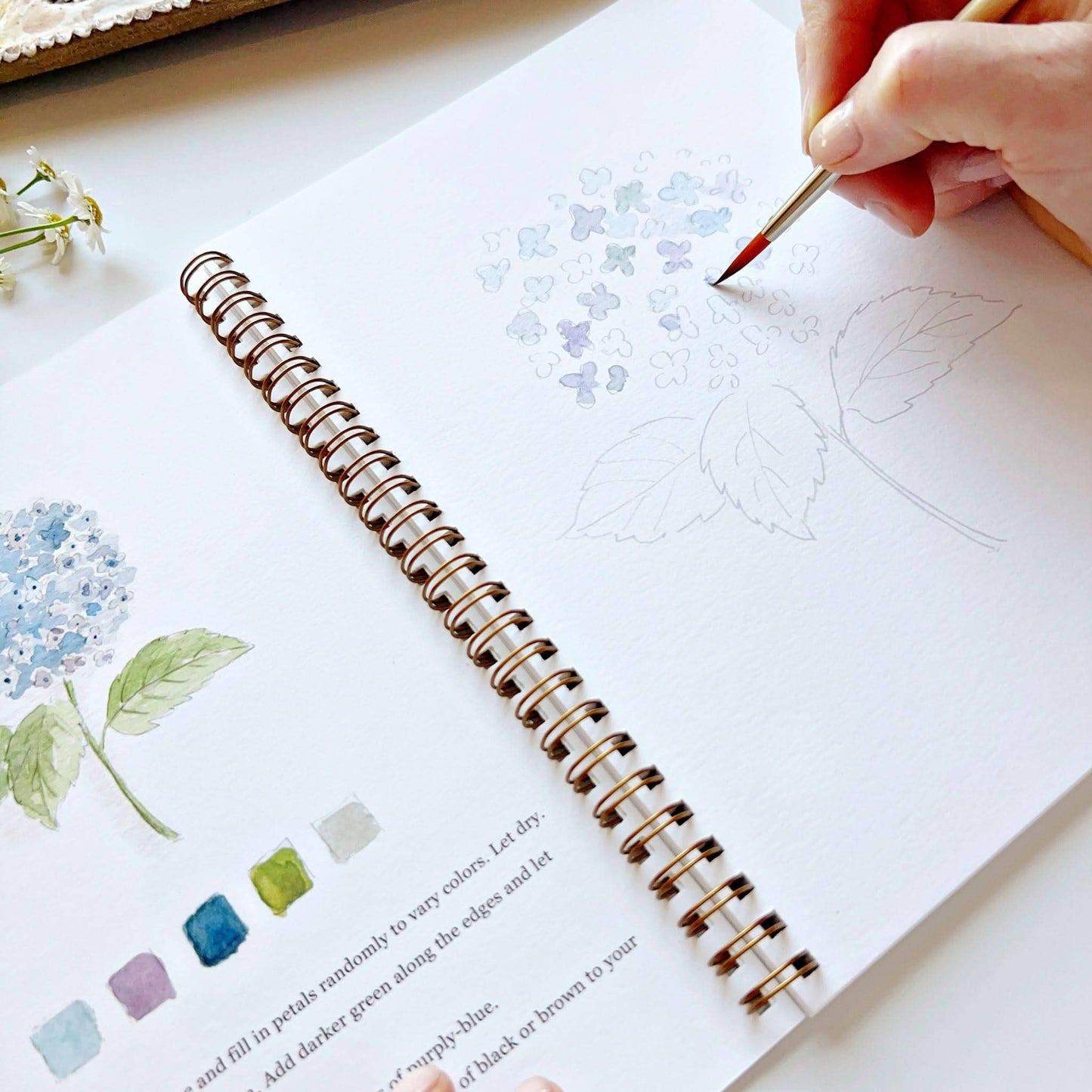 Aquarelverf werkboek - Bloemen - emily lex studio watercolor workbook