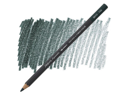 Dark Sap green 739 museum aquarel Caran D'Ache