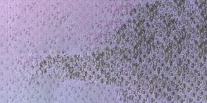 631 Light Ultramar. Violet Pastel Potlood Caran D'Ache