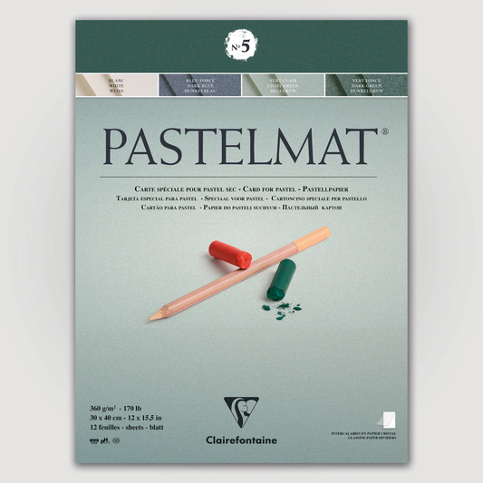 Pastelmat No. 5 (Groen) 360gr 30x40 Clairefontaine Gekleurd Pastelpapier