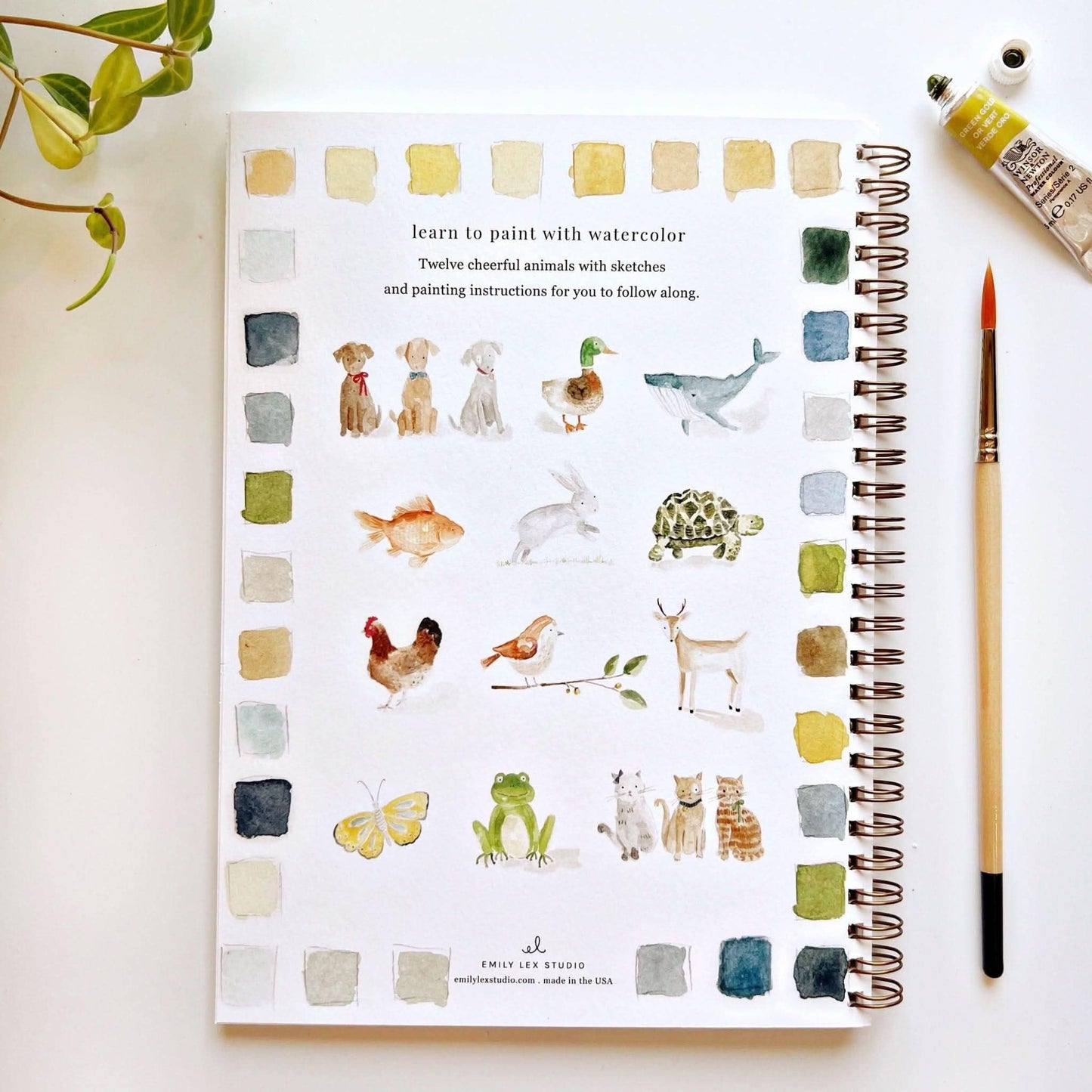 Aquarelverf werkboek - Dieren - emily lex studio watercolor workbook