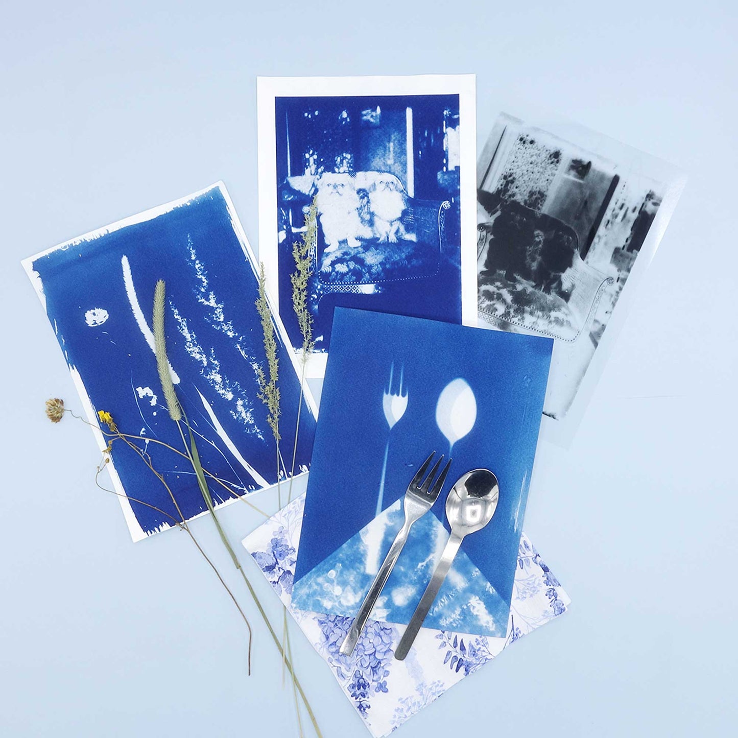 Cyanotype DIY Kit