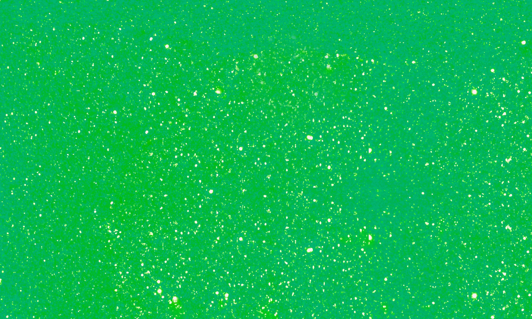 Posca verf stift PC3M Glitter Groen