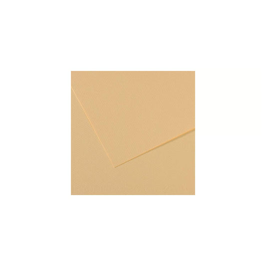 10 vel 160 grs Mi-Teintes gekleurd papier, no 407 chamois 50x65cm