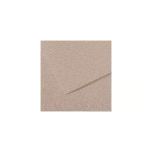 10 vel 160 grs Mi-Teintes gekleurd papier, no 426 warm grijs 50x65cm