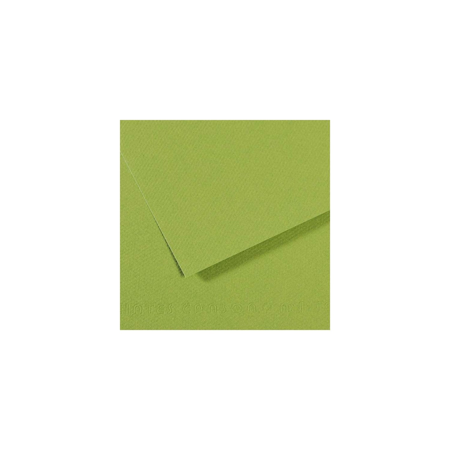 10 vel 160 grs Mi-Teintes gekleurd papier, no 475 lente groen 50x65cm
