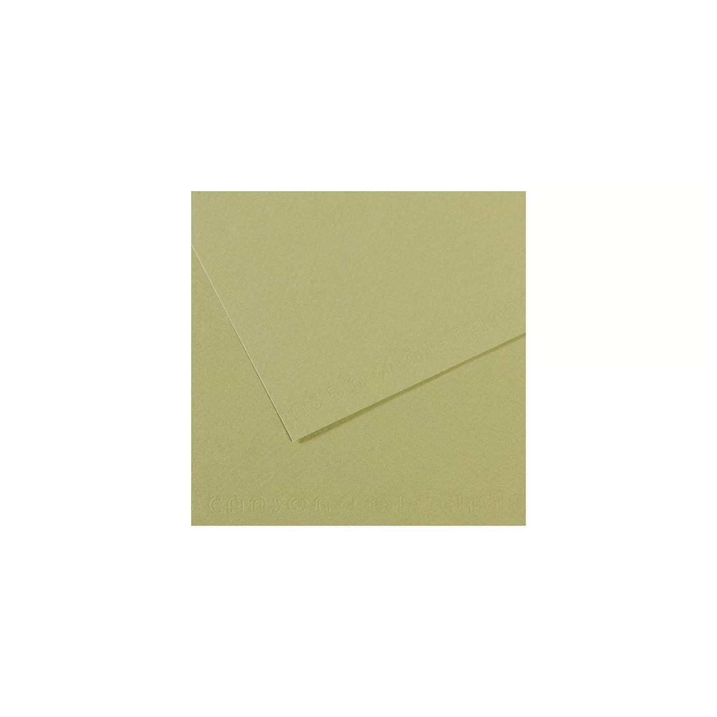 10 vel 160 grs Mi-Teintes gekleurd papier, no 480 licht groen 50x65cm