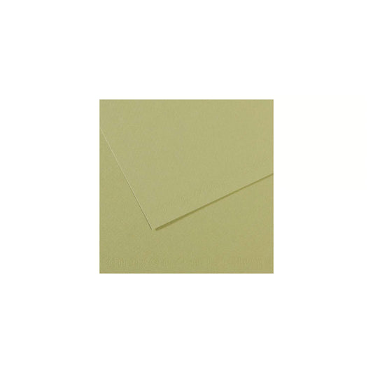 10 vel 160 grs Mi-Teintes gekleurd papier, no 480 licht groen 50x65cm